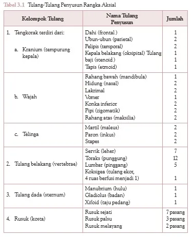 Rangka Aksial
