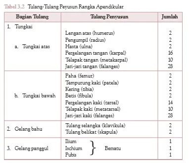 Rangka Apendikular