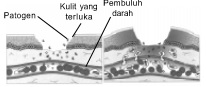 gambar bab 10 soal kompetensi akhir tahun uraian no 10