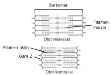 gambar bab 10 soal kompetensi akhir tahun uraian no 3