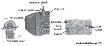 Gambar bab 2 gambar 2 28 - Kuliah di China