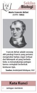 Marie Francois Bichat