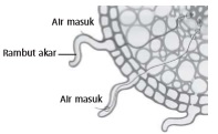 gambar bab 2 soal tantangan nomor 2