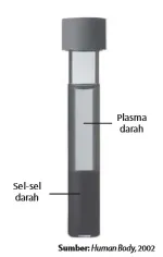 Komposisi darah setelah disentrifugasi