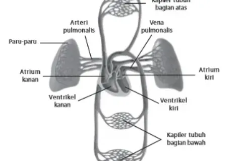 Gambar Bab 4 Gambar 4 10