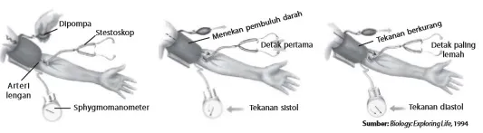 Pengukuran tekanan darah