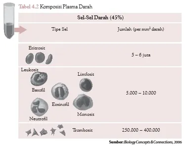 Sel-Sel Darah