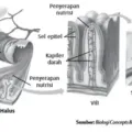 Gambar Bab 5 Gambar 5 13