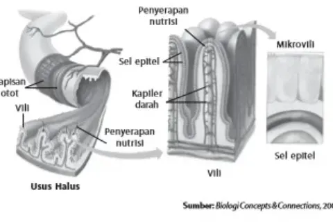 Gambar Bab 5 Gambar 5 13