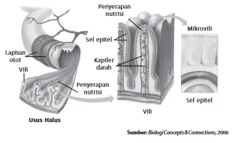 Gambar Bab 5 Gambar 5 13