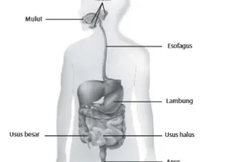 Gambar Bab 5 Gambar 5 6