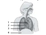 gambar bab 6 soal ganda no 5a