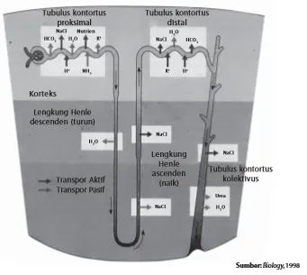 Gambar Bab 7 Gambar 7 4