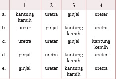 gambar bab 7 soal ganda no 13b