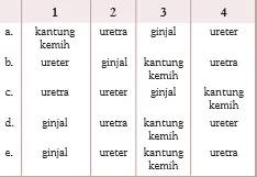 gambar bab 7 soal ganda no 13b