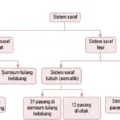 Gambar Bab 8 Gambar 8 7a