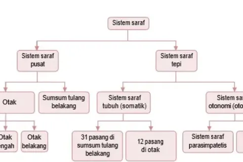 Gambar Bab 8 Gambar 8 7a