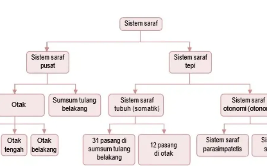 Gambar Bab 8 Gambar 8 7a