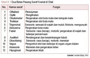 12 pasang saraf kranial