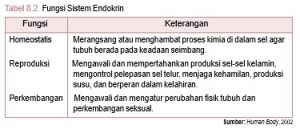 Fungsi Sistem endokrin