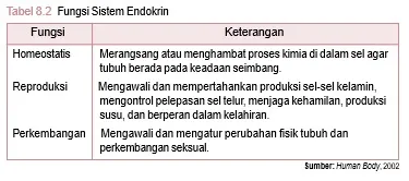 Fungsi Sistem endokrin