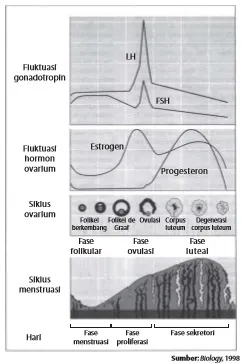 Grafik siklus menstruasi