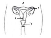 gambar bab 9 soal ganda no 9
