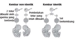 gambar bab 9 soal tantangan no 3
