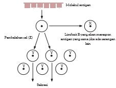 gambar bab10 soal tantangan no 2