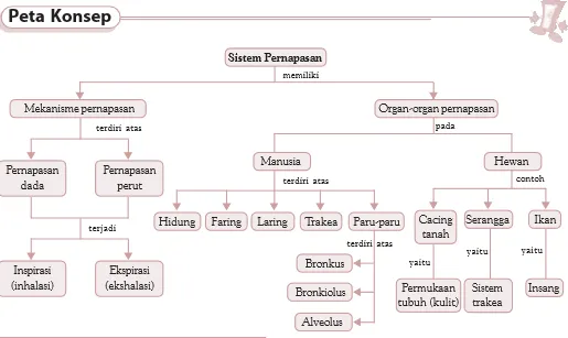 peta konsep bab 6