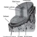 Bio12 Gambar Bab 1 Gambar 1 1