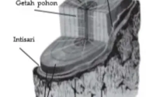 Bio12 Gambar Bab 1 Gambar 1 1