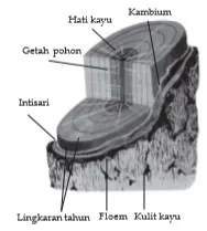 bio12 gambar bab 1 gambar 1 1