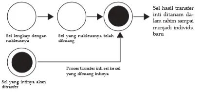 Proses transfer inti sel