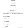 Bio12 Gambar Bab 4 Gambar 4 1