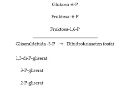 Bio12 Gambar Bab 4 Gambar 4 1
