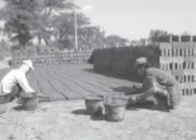 Tanah sawah merupakan bahan mentah.