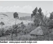 Perekonomian tradisional masih berlaku dalam masyarakat terpencil.