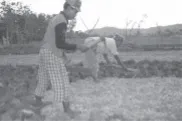 Nilai pakai setiap benda berbeda-beda.
