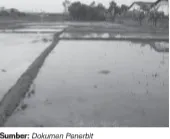 Lahan digunakan dalam pengelolaan pertanian padi.