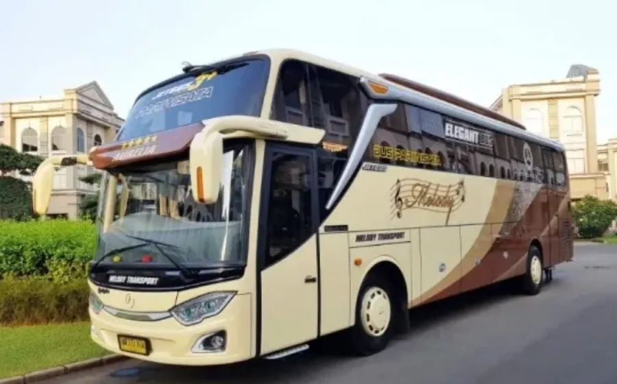 Ingin Sewa Bus Pariwisata Perhatikan Hal Penting Ini Tidak Kecewa