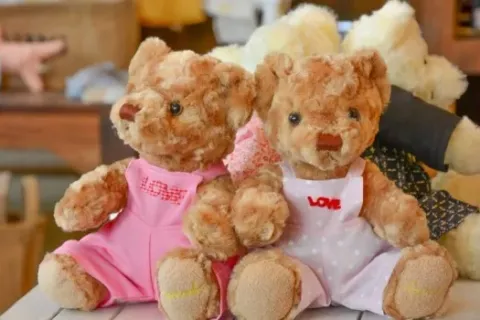 Boneka Unik Dan Populer Di Dunia, Dari Lucu Hingga Seram Semua Ada Ceritanya