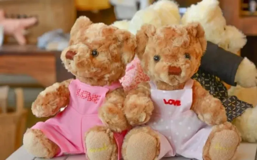 Boneka Unik Dan Populer Di Dunia, Dari Lucu Hingga Seram Semua Ada Ceritanya