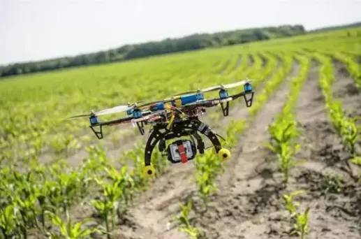 Pemanfaatan Drone dan Sensor di Bidang Pertanian