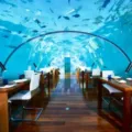 Ithaa Undersea Restaurant, Sensasi Makan Di Bawah Laut Dengan Pemandangan 180 Derajat Yang Bikin Takjub