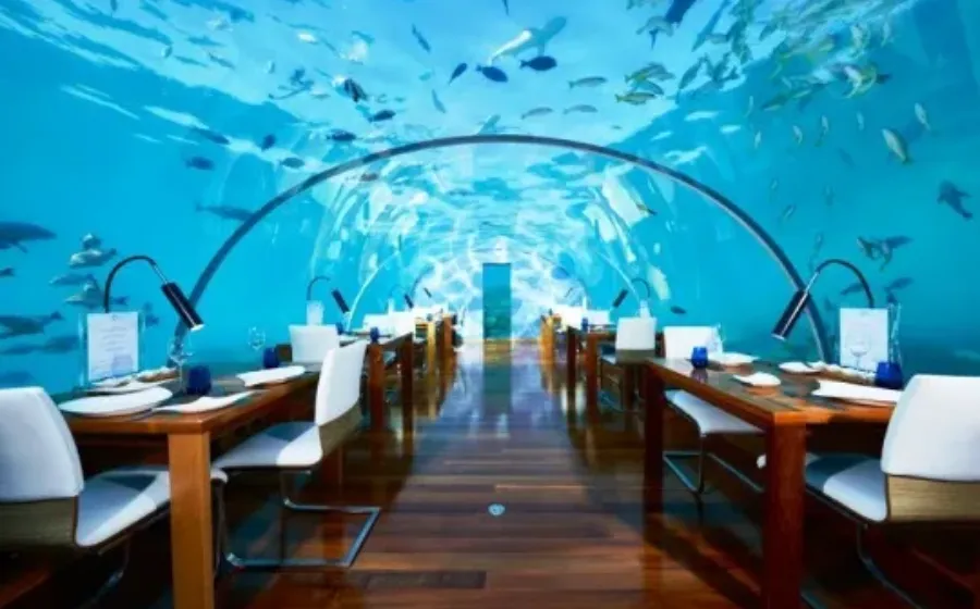 Ithaa Undersea Restaurant, Sensasi Makan Di Bawah Laut Dengan Pemandangan 180 Derajat Yang Bikin Takjub