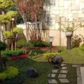 Gaya Hidup Sehat Mahasiswa Di Jogja, Ciptakan Taman Estetik Dengan Jasa Taman Jogja Dari Jogja Garden Asri