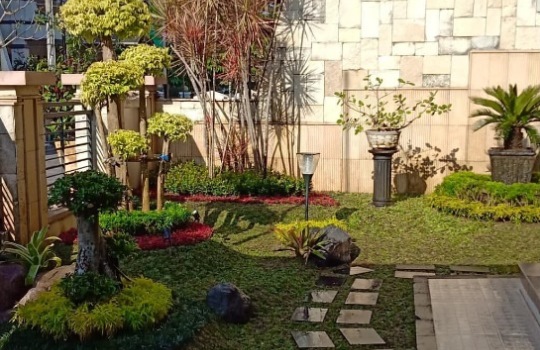 Gaya Hidup Sehat Mahasiswa di Jogja, Ciptakan Taman Estetik dengan Jasa Taman Jogja dari Jogja Garden Asri