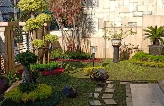 Gaya Hidup Sehat Mahasiswa Di Jogja, Ciptakan Taman Estetik Dengan Jasa Taman Jogja Dari Jogja Garden Asri