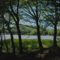 Pemandangan indah tempat wisata alam untuk healing dengan pepohonan hijau dan danau tenang
